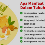 Makanan Penuh Protein Pentingnya untuk Kesehatan dan Pilihan yang Tepat